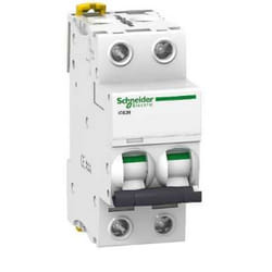 Schneider Electric IC60N coupe-circuits Type C 2