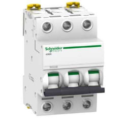 Schneider Electric IC60N coupe-circuits Type C 3