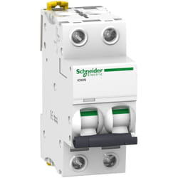 Schneider Electric - Acti9, iC60N disjoncteur 2P 40A courbe c - A9F77240