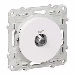 Odace - blindage simple SAT - encastré - blanc RAL9003 brillant - SAT : F type - Fixation par vis - Livré avec couvercle de p ...