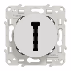 Schneider Electric Odace S520496 prise de courant Blanc