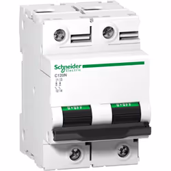 Disjoncteur C120N 2 Pôles 125 A courbe B 10 kA SCHNEIDER A9N18347 Acti 9 disjoncteur C120N 2P 125A Courbe B Ui 500V CA PdC :  ...