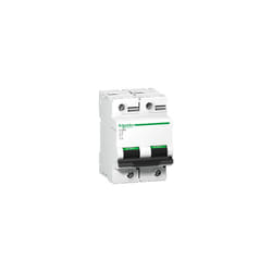 Schneider Electric - Disjoncteur C120N 2P 100 a, courbe d, 10 kA - A9N18384