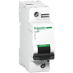 Schneider Electric - Disjoncteur C120H 1P 100 a, courbe c, 15 kA - A9N18447