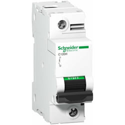 Schneider Electric - Disjoncteur C120H 1P 125 a, courbe c, 15 kA - A9N18448
