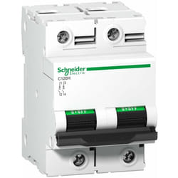 Schneider Electric - Disjoncteur C120H 2P 125 a, courbe c, 15 kA - A9N18459