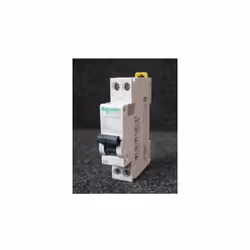 Disjoncteur 6A 1P+N courbe D 6kA 4kV bornes à vis pour rail DIN DT40N ProDis SCHNEIDER Tarif année : 2020 SCHA9N21374