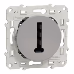 Schneider Electric Odace S530496, Intégré, Aluminium, Polybutylene terephthalate (PBT), Mat, IP21D, IK04