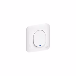 Schneider Electric - Ovalis - Interrupteur simple - lumineux temoin ou localisation avec plaque Blanc S260263
