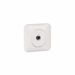Schneider Electric - Ovalis S260405 Ovalis - Prise tv avec plaque Blanc