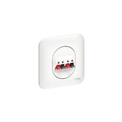 Schneider Electric - Prise haut parleur 2 sorties blanche complete avec plaque fixation vis/griffes Ovalis