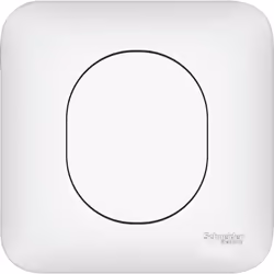 Avec Ovalis, Schneider Electric rend le design abordable. Sobre, sécurisée, simple à installer et bénéficiant de nombreuses f ...