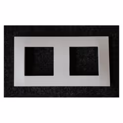 Plaque de finition blanc polaire 2 postes horizontale entraxe 71mm pour appareillage mural ALTIRA SCHNEIDER ALB44652 Couleur  ...