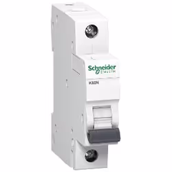 APC A9K01120, Disjoncteur miniature, Type B, 6000 A, IP20