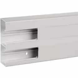 OptiLine 45 goulotte pvc blanc polaire 165 mm x 55 mm x 2m SCHNEIDER ISM10400P largeur - 165 mm profondeur - 55 mm longueur - ...