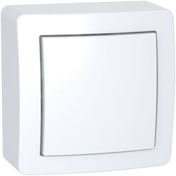 Alréa, Interrupteur simple allumage avec cadre saillie blanc polaire (ALB62050P)