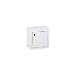 Schneider Electric - poussoir o/f lumineux alrea blanc polaire complet