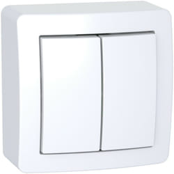 Schneider Electric - Alréa, Double va-et-vient avec cadre saillie, blanc polaire (ALB62056P)