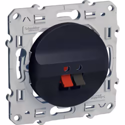 Odace prise haut parleur 1 sortie - Anthracite - SCH S540487