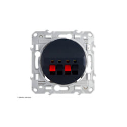 Schneider Electric - Prise haut-parleur Schneider Odace - 2 sorties Finition: Anthracite