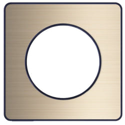 Schneider Electric - S540802L odace touch plaque avec liseré 1 poste, bronze