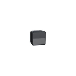 Mureva Styl - Interrupteur bipolaire - saillie - IP55 - IK08 connex auto - gris - MUR35033