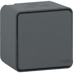 Schneider Electric - Mureva Styl - Double va et vient - saillie - IP55 - IK08 - connexion - MUR35022