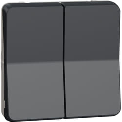 Schneider Electric - Mureva Styl Double bouton poussoir composable IP55 IK07 gris schneider MUR35326