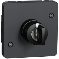 Schneider Electric - Mureva Styl - Interrupteur à clé 3 positions - composable - IP55 - IK08 - gris - MUR35061