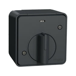 Schneider Electric - Mureva Styl - Interrupteur temporisé led - saillie - IP55 - IK08 - gris (MUR35067)