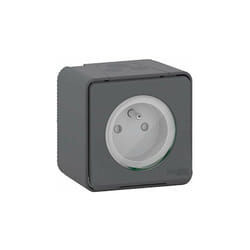 Schneider Electric Mur36030 Base 2p + Ttf Surface Gris