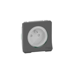 Schneider Electric - Mureva Styl - Prise de courant 2P+T à vis - composable - IP55 - IK08 - gris (MUR38030)