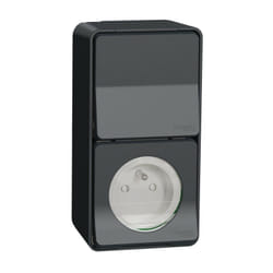 Schneider Electric - Mureva Styl - Prise courant 2P+T+va et vient verti. - saillie - IP55 IK08 - gris (MUR36025)