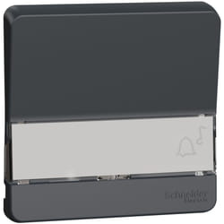 Mureva Styl Enjoliveur porte étiquette lumineux IP55 IK08 gris SCHNEIDER MUR34203
