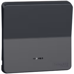 Présentation Enjoliveur avec lentille Mureva Styl IP55 - IK08 MUR34204 Gris Schneider Electric
