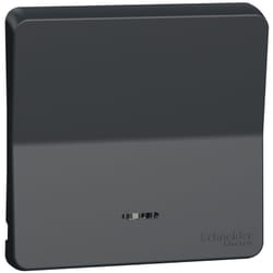 Schneider Electric - Enjoliveur avec lentille Mureva Styl - IP55 - IK08 - gris MUR34204