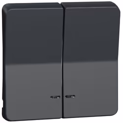 Présentation Enjoliveur 2 demi touche Mureva Styl IP55 - IK08 MUR34205 Gris Schneider Electric