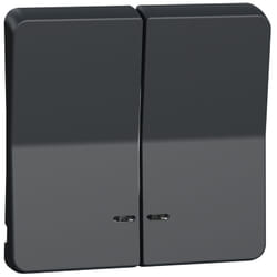 Schneider Electric - Enjoliveur 2 demi touche Mureva Styl - IP55 - IK08 - gris MUR34205