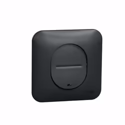 Ovalis - interrupteur simple - lumineux temoin ou localisation - Anthracite-Mécanisme avec une plaque de fixation comprise.
