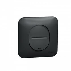 Schneider Electric - Ovalis Interrupteur lumineux temoin / localisation avec plaque Anthracite (S460263)