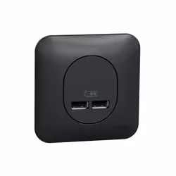 Ovalis - double chargeur usb 2.1 A - Anthracite-Mécanisme avec une plaque de fixation comprise.
