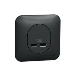 Schneider Electric - Ovalis - Double chargeur usb 2.1 a - Avec plaque de finition -Anthracite (S460407)