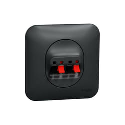 Schneider Electric - Ovalis - Prise haut-parleur 2 sorties- 4 bornes à vis Avec plaque -Anthracite (S460488)