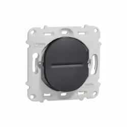 Ovalis - interrupteur - 10A - sans plaque de finition - Anthracite-Mécanisme seul, soit support de fixation et mécanisme uniq ...