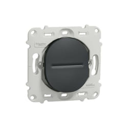 Schneider Electric - Ovalis - interrupteur - 10A - sans plaque de finition -Anthracite (S461202)