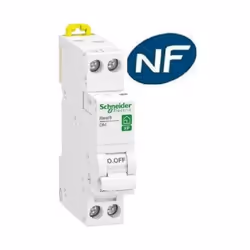 Disjoncteur modulaire RESI9 1P+N courbe C peignable 20A - SCHNEIDER ELECTRIC - R9PFC620