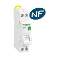 Disjoncteur modulaire RESI9 1P+N courbe C peignable 20A - SCHNEIDER ELECTRIC - R9PFC620