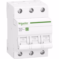 fabricant et numéro du fabricant Schneider ElectricR9F24316 données techniques Alim.: 400 V/AC 50 - 60 Hz Capacité de coupure ...