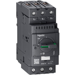 TeSys gv - disjoncteur magnétique - 73A - 3P - Everlink