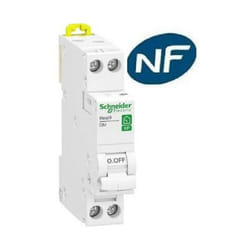 Disjoncteur peignable - 1p + n 2A - courbe C Schneider R9PFC602